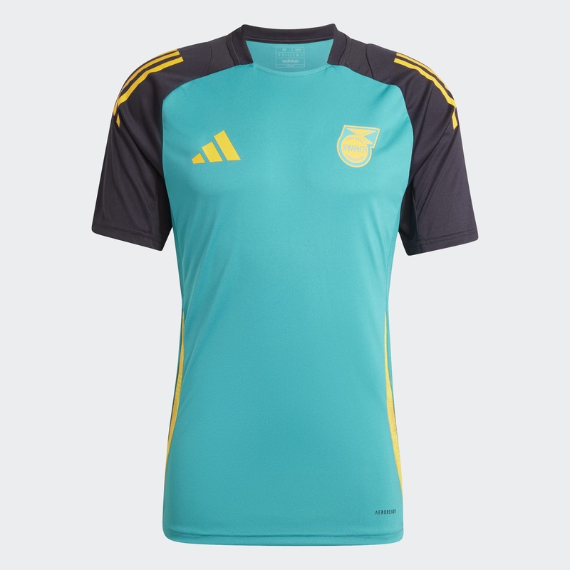 Maillot Jamaque Training Tiro 24 Homme 2024/25 Vert