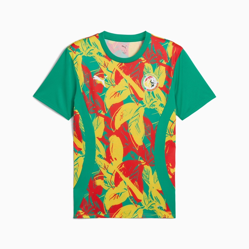 Maillot Sngal Pre-match Homme 2025 Vert
