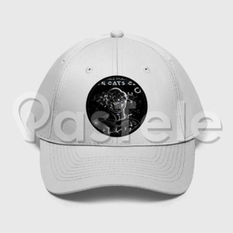 When Cats Claw Shabazz Palaces Custom Unisex Twill Hat Embroidered Cap Snapback