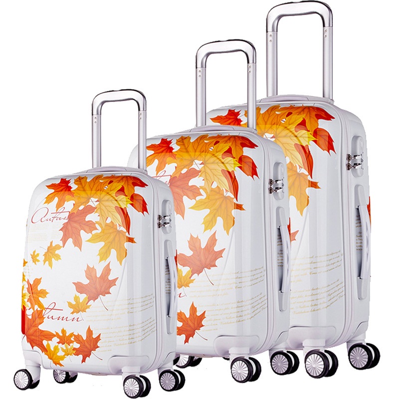 High Quality Lowest Price Best Selling Fashion Printing ABS+PC Travel Trolley Luggage – Luggage and Trolley Luggage price
