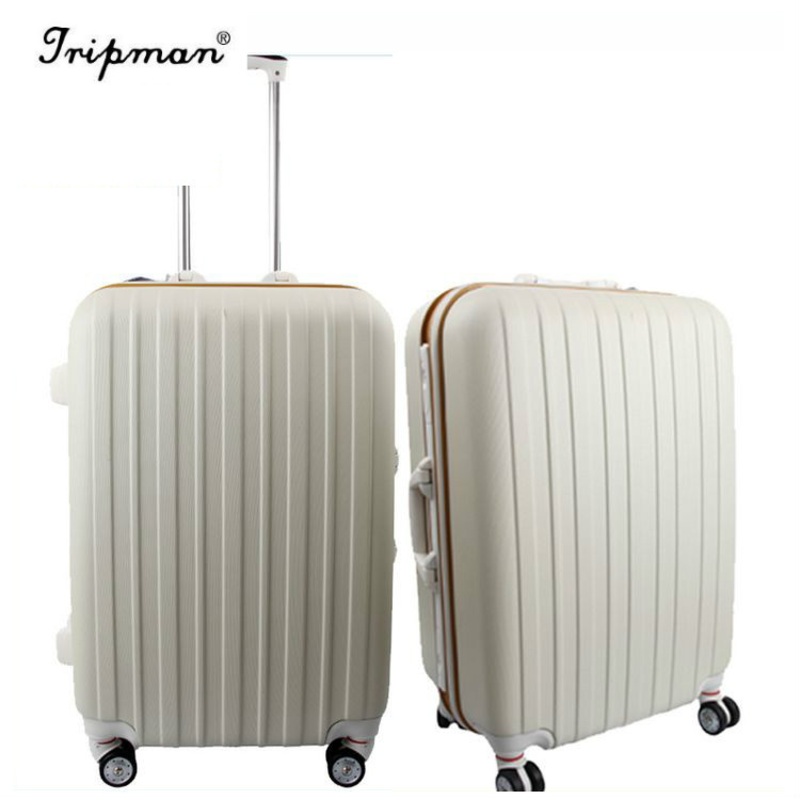 Eco-System Aluminum Alloy Carry on Luggage with Spinner Wheel – Trolley Luggage and ABS PC Luggage price