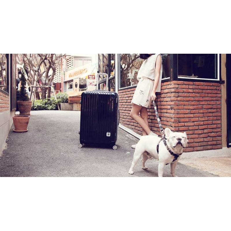 Newest Trolley Luggage PC Luggage Bag 20/24Luggage Set Travel Luggage – Trolley Luggage and Luggage Set price