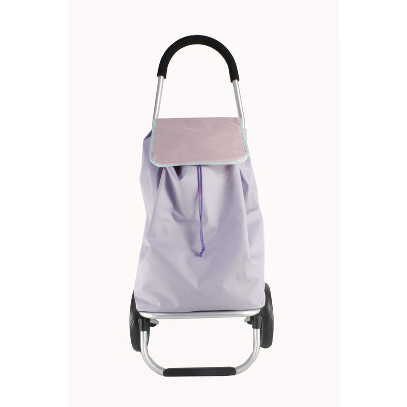 Basic Popular Customized Color OEM ODM Best Selling Wholesale Foldable 2 Wheels Shopping Trolley – Shhopping Trolley and Shopping Carts price