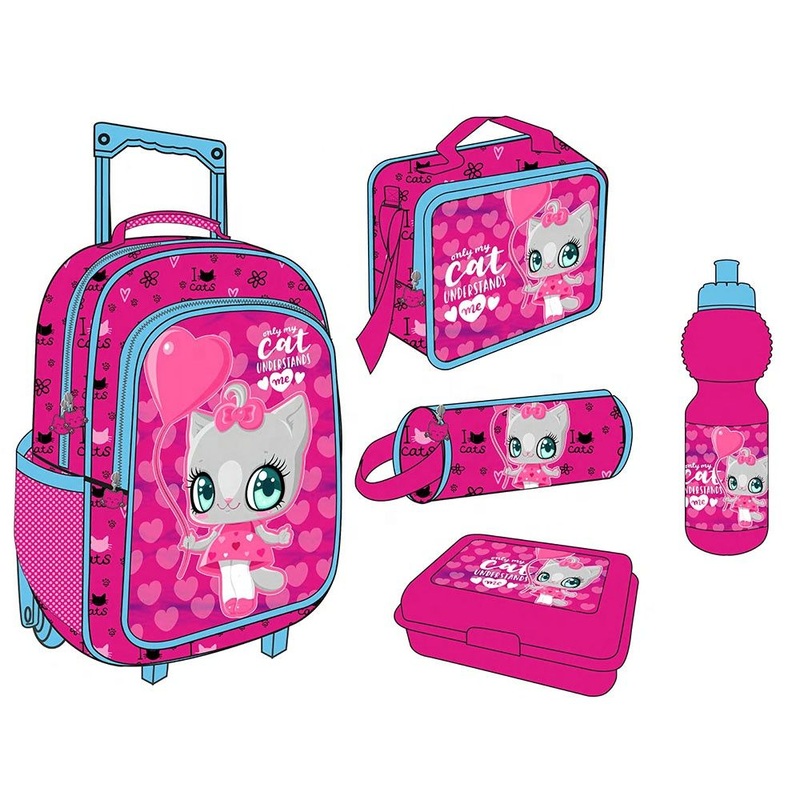 Customizable High Quality Girls Rolling Backpack School Bag Set 5 in 1 School Trolley Bag – School Bag and School Trolley Bag price