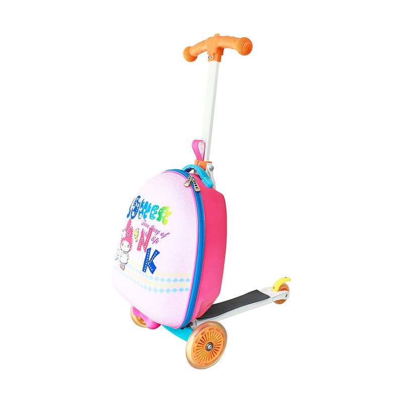 Outdoor Sport Portable EVA Scooter Trolley Luggage Case – Suitcas Scooter and Luggage Scooter price